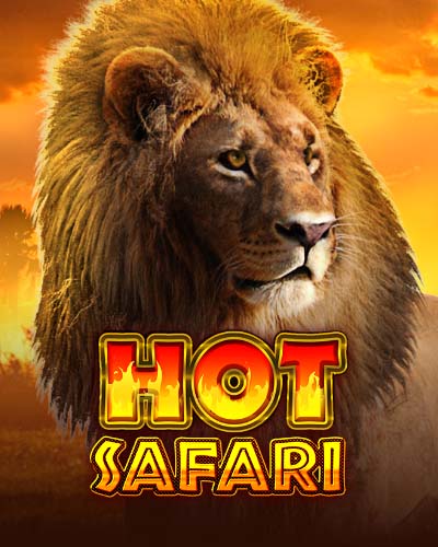 Hot Safari